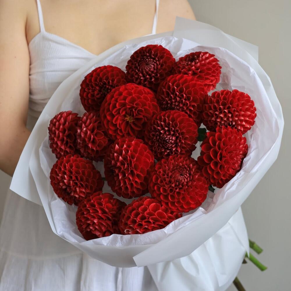 Георгины «Red»