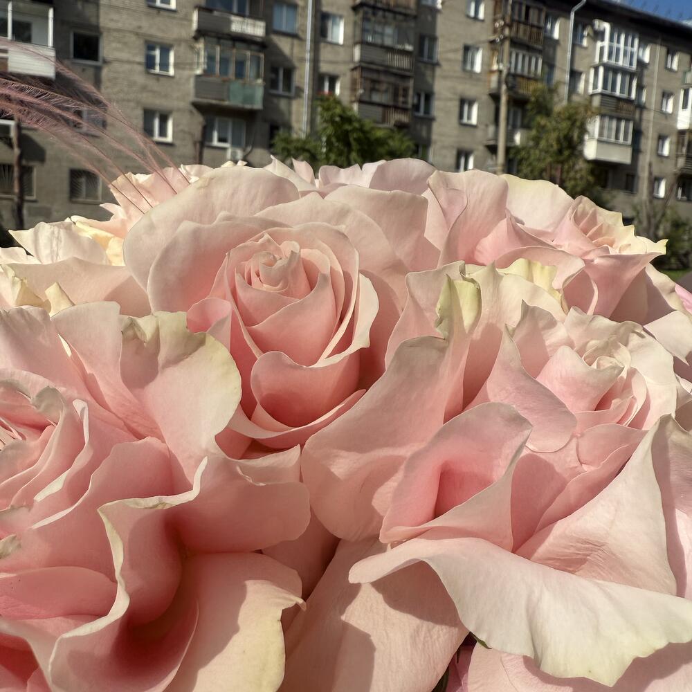 Букет «Мечта»