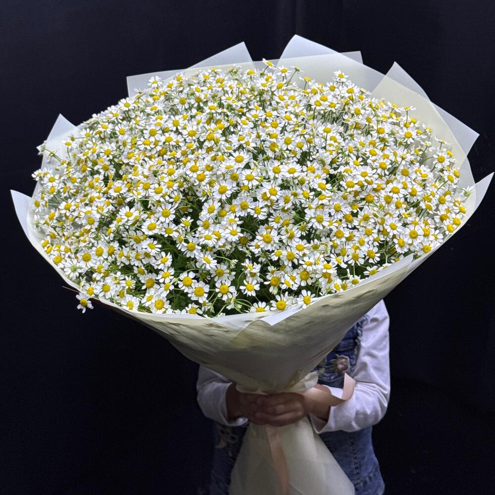 Ромашка
