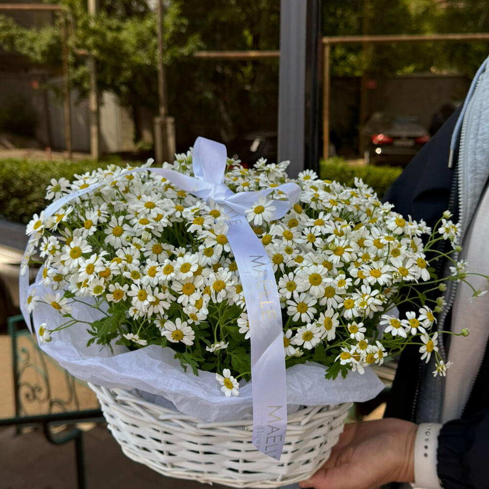 Daisy Mood