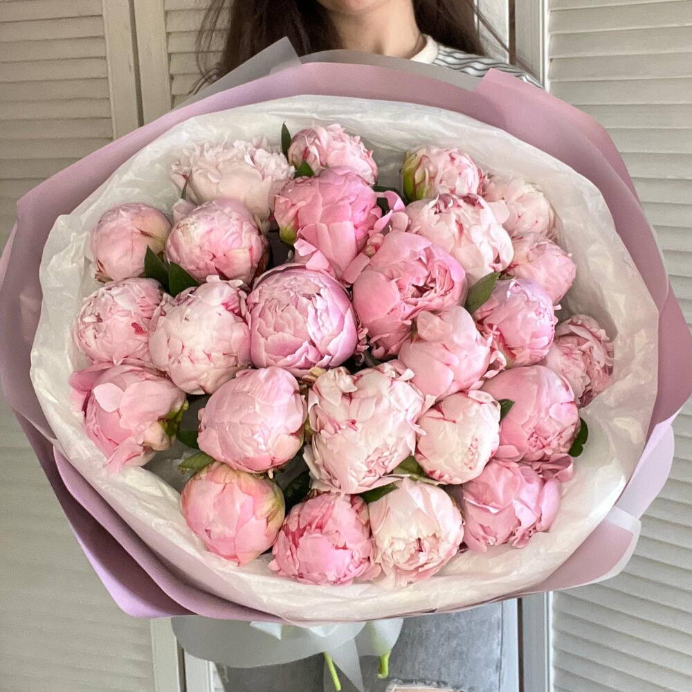 Розовые пионы Сара Бернар 25