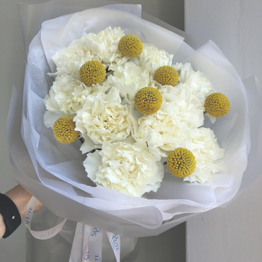 Букет из диантусов и краспедией N 903 + подарок от Vivienne Sabo — румяна MACARON