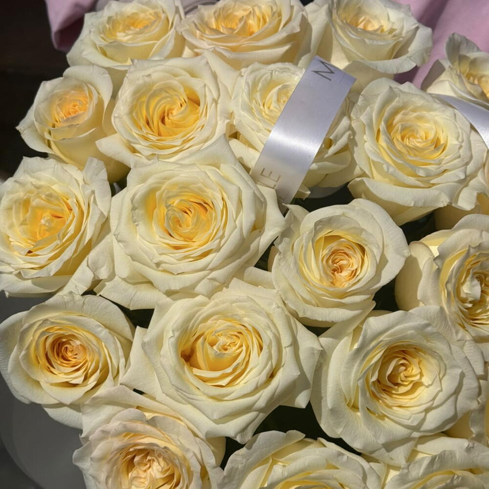 Creme Elegance