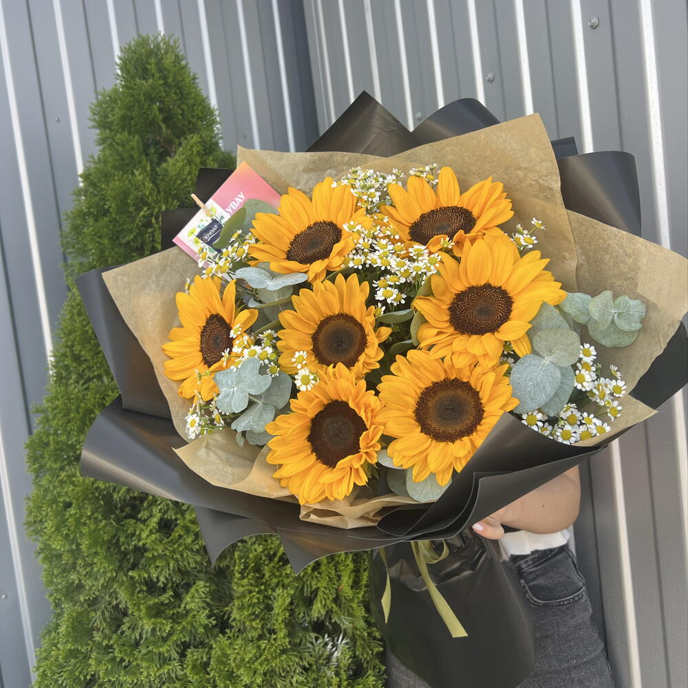 Подсолнух 🌻