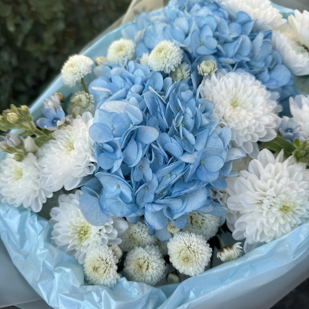 Пышный дофаминовый букет 🤍🌸 гортензия, оксипеталум