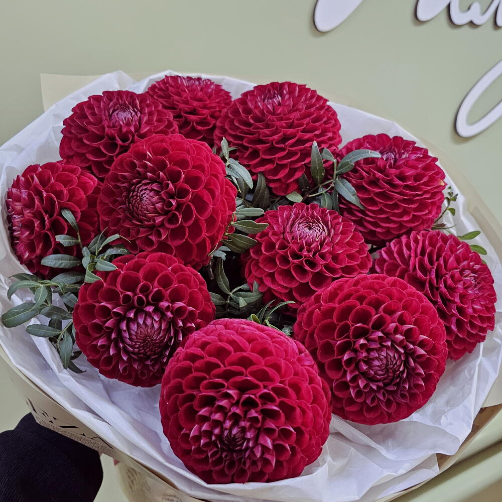 Королевская симфония