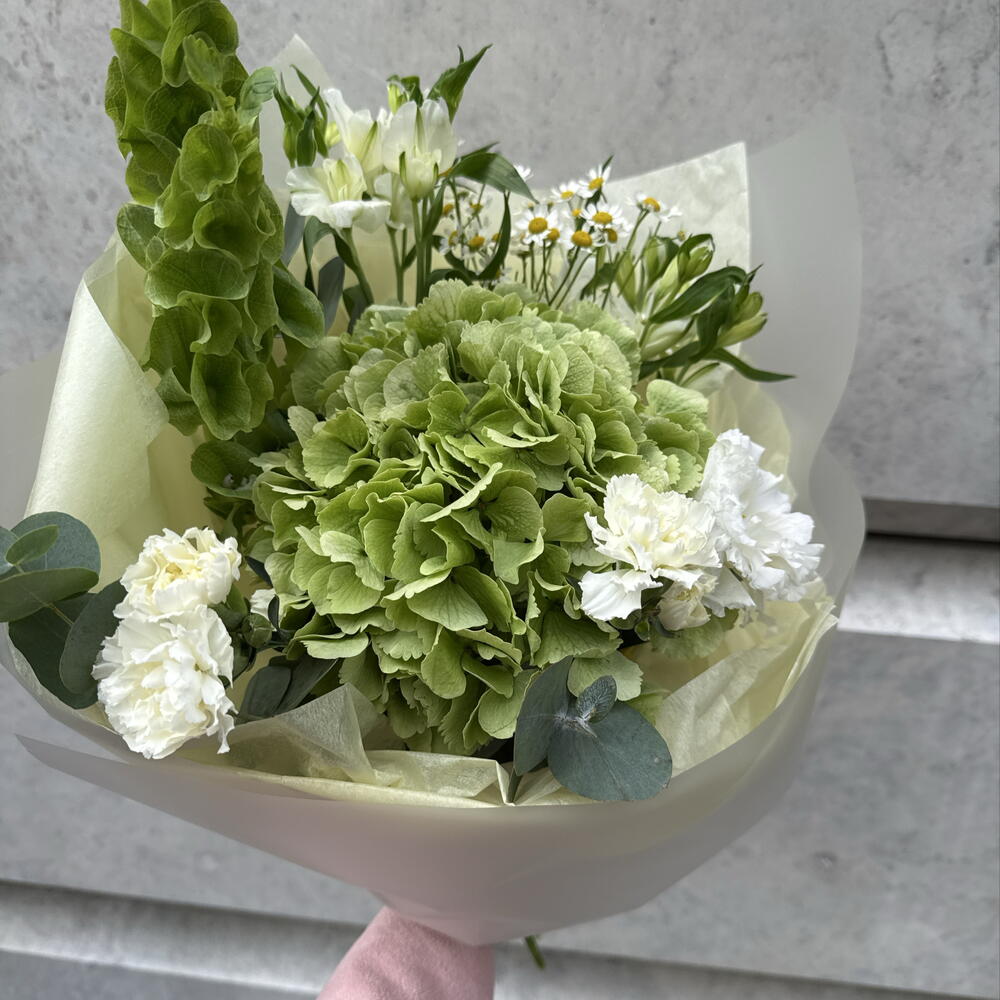 Букет с гортензией и молюцеллой — нежный объёмный букет в подарок 💐
