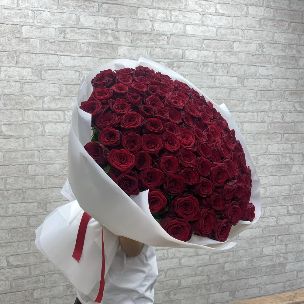 101 красная Роза🌹🌹🌹
