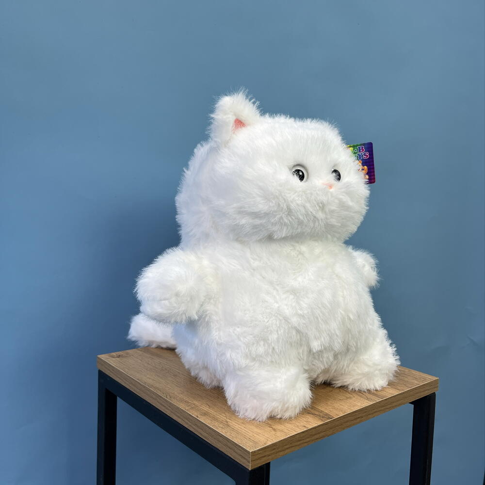 Кот Толстяк