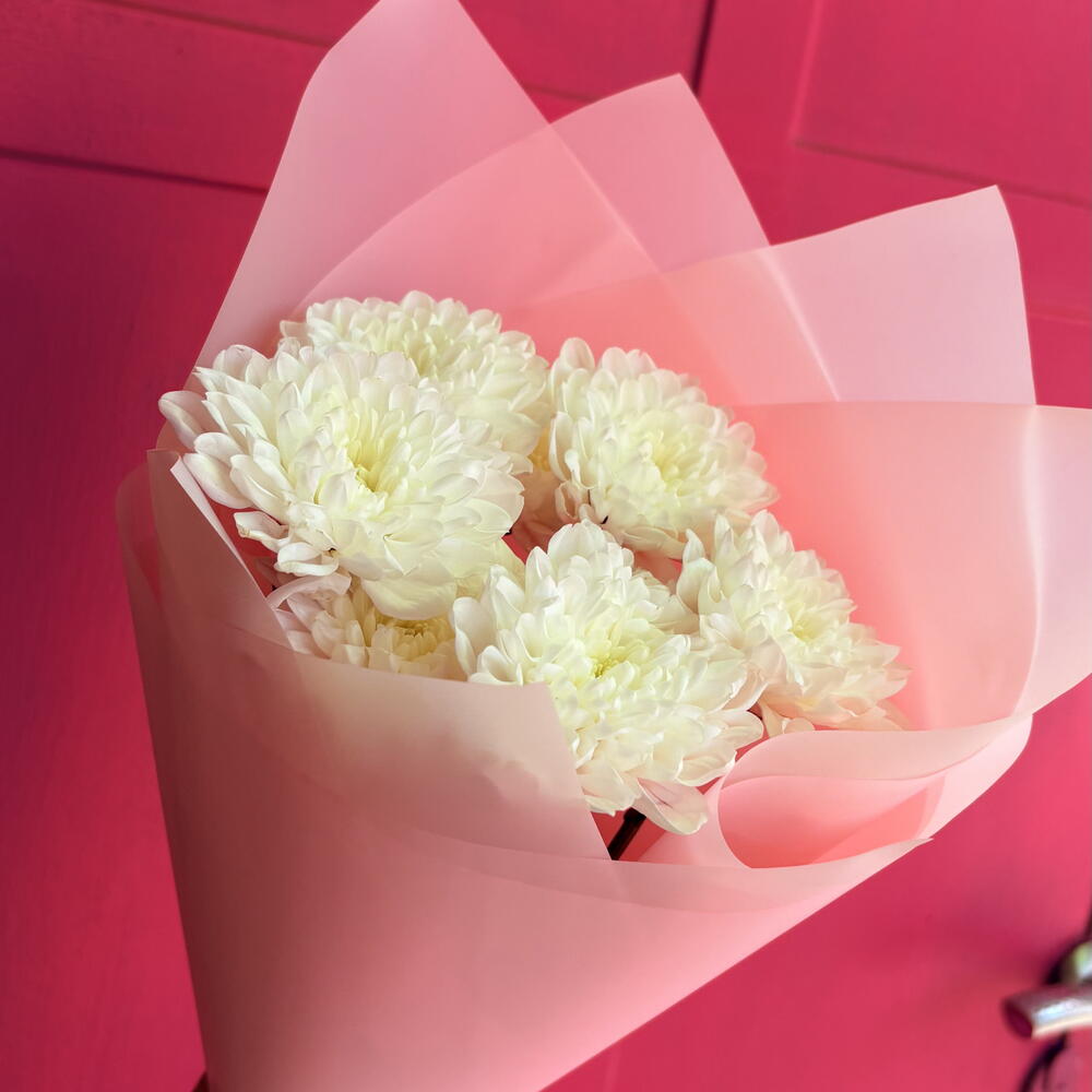 Хризантема комплимент 💐