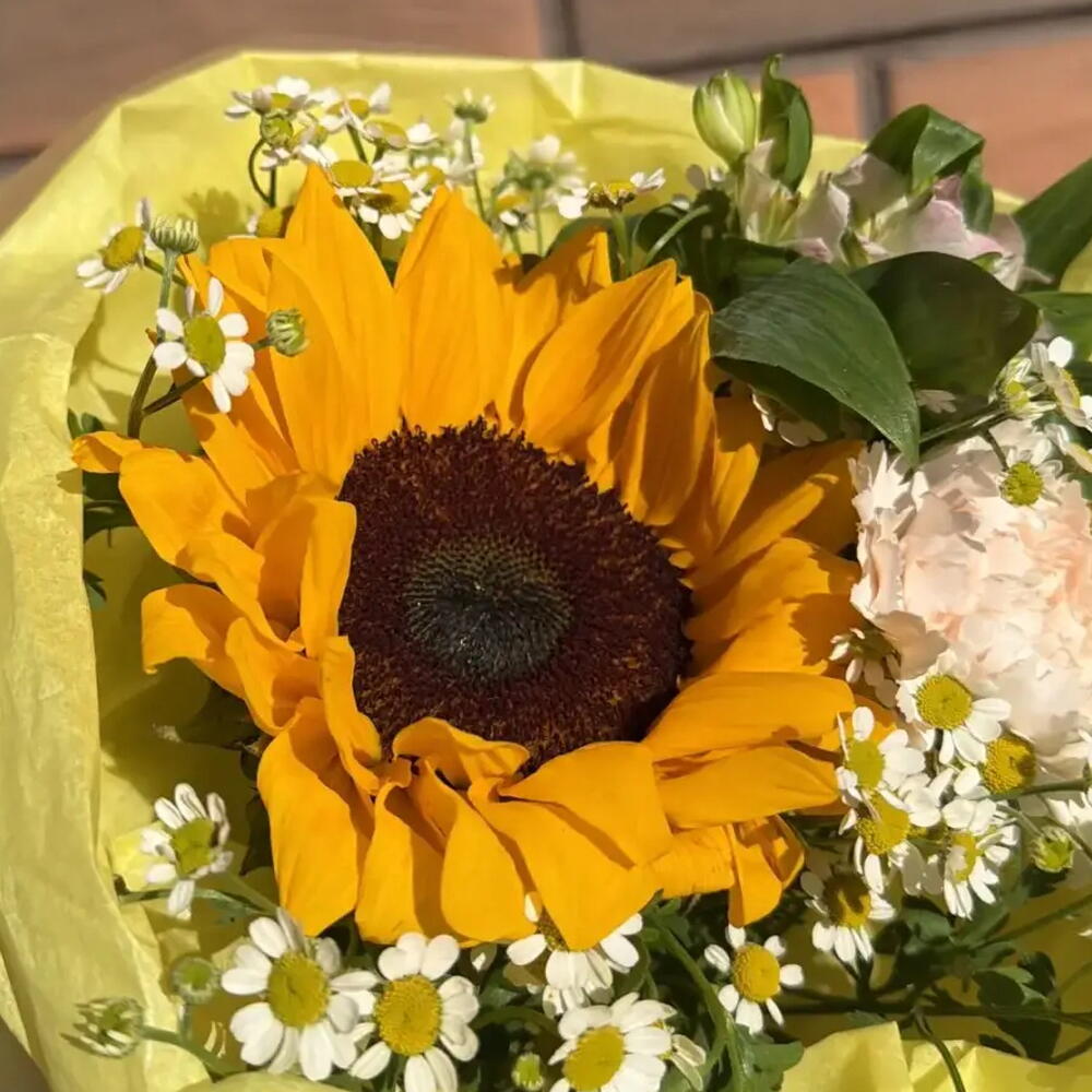 Букет комплимент с подсолнухом, диантусом и ромашками