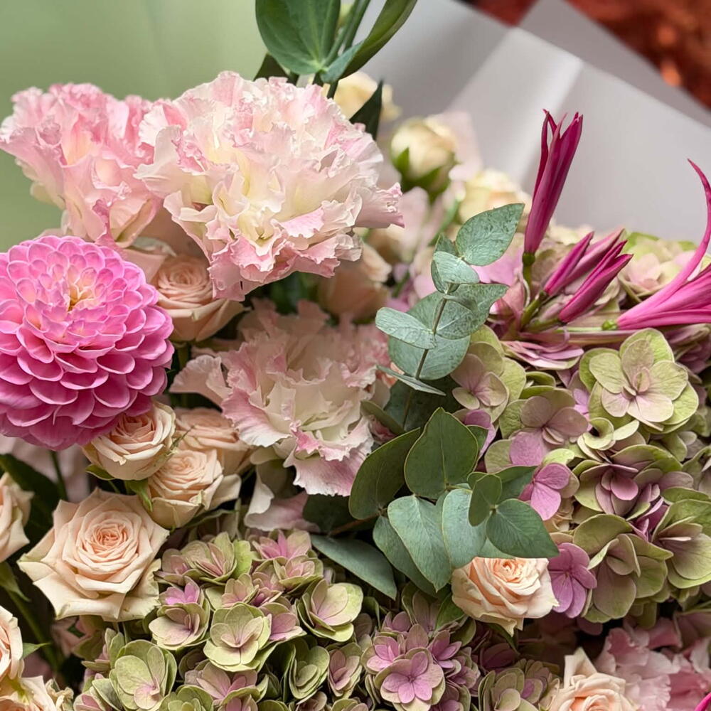Blush Botanical