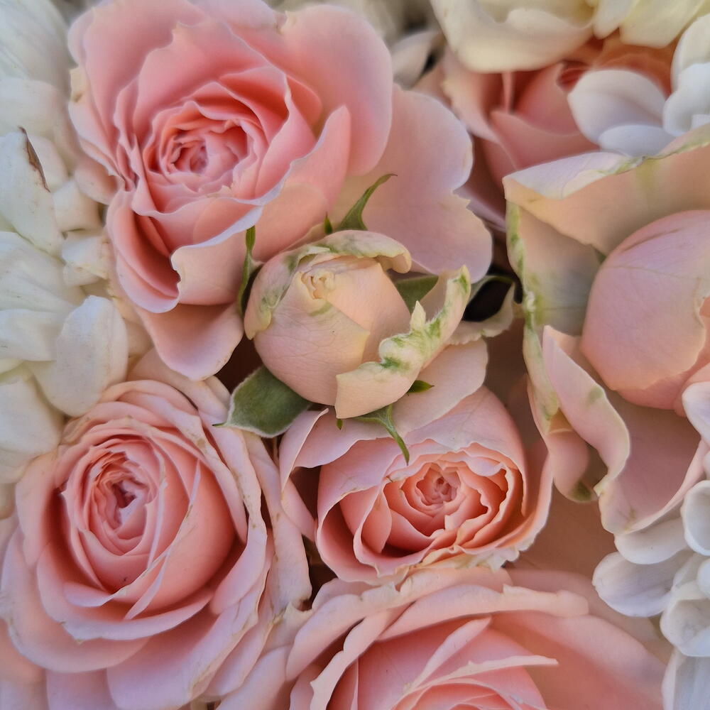 Bouquet 2 💛 (хризантемы и кустовые розы)