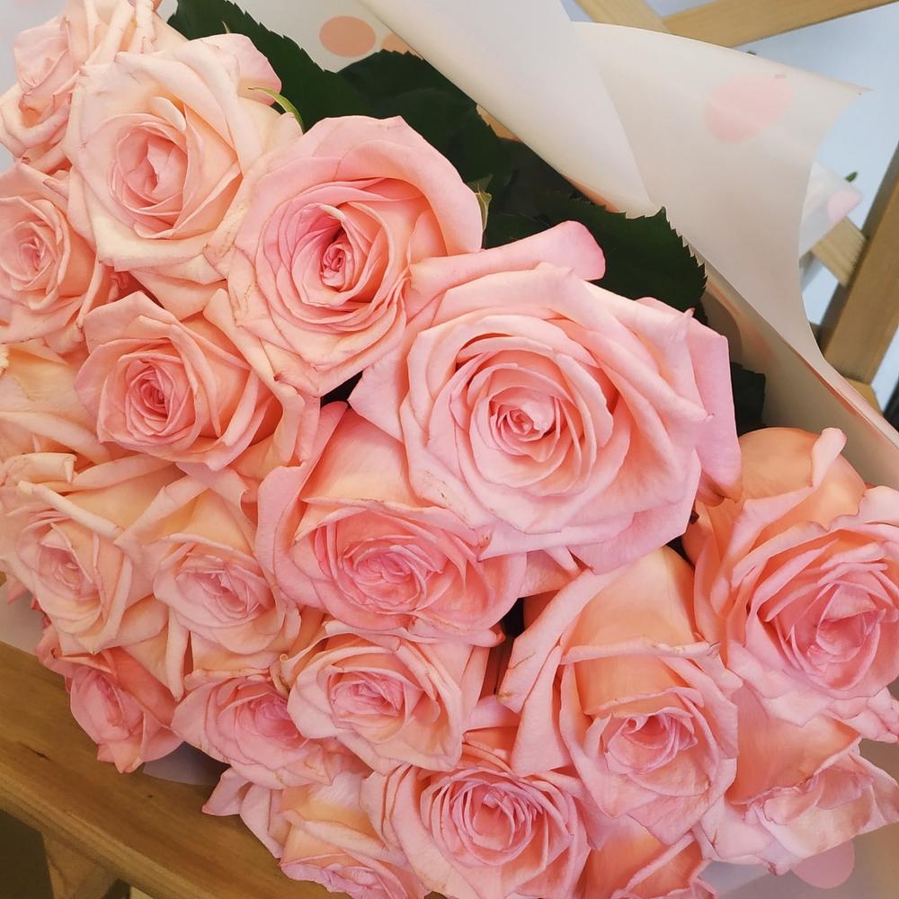 Розовые розы 🌺 ( 17 шт)