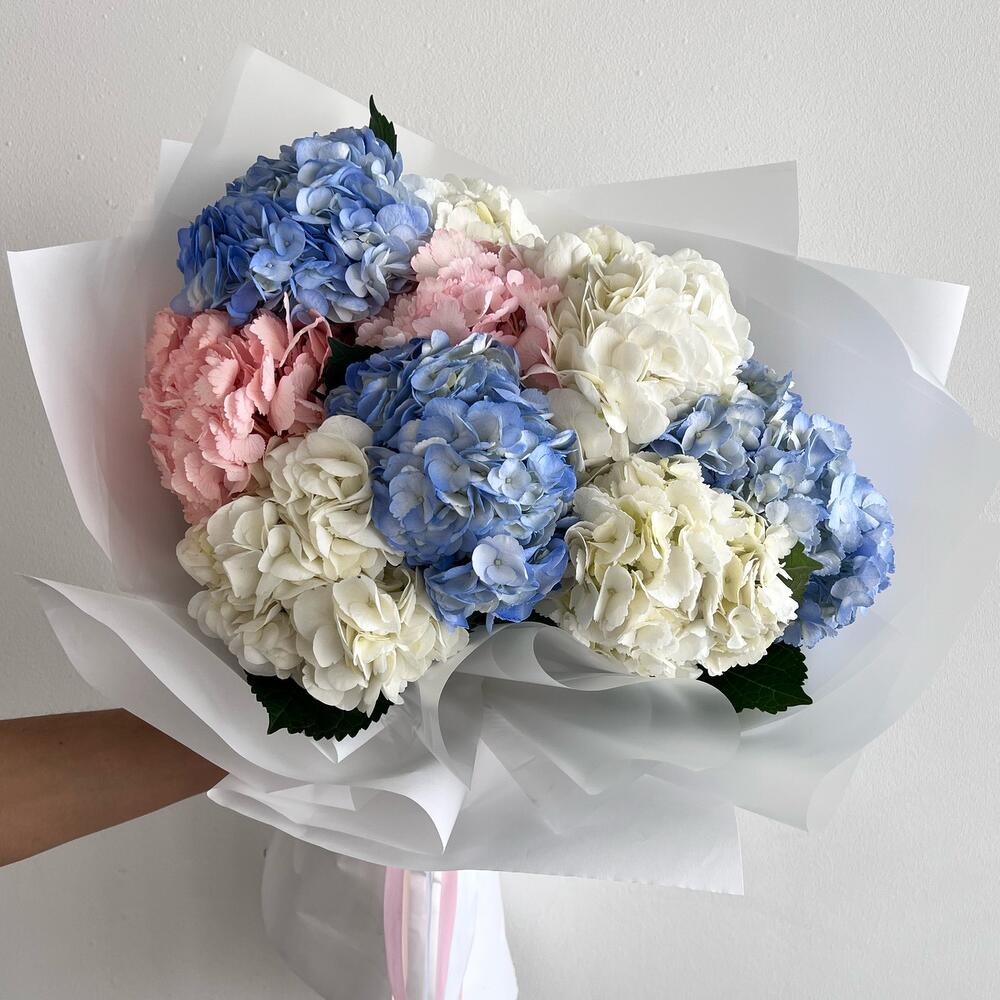 Гортензия  🌸😍