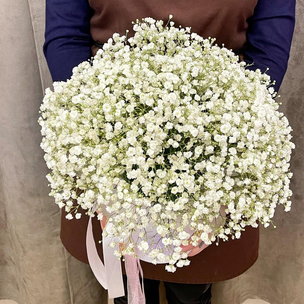 An air cloud of gypsophila in a box