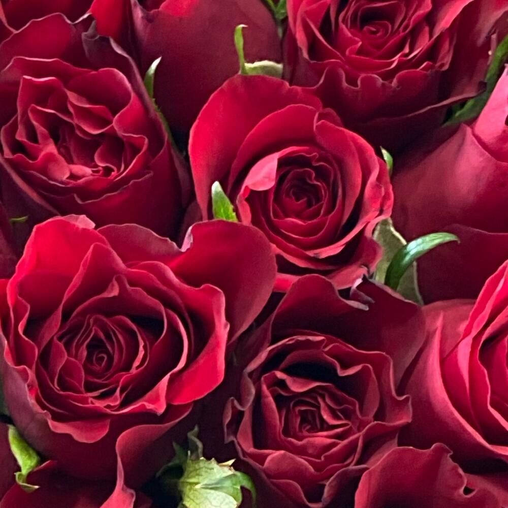 Любовь-морковь🌹🌹🌹