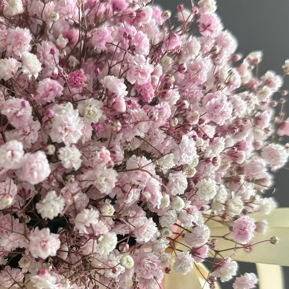 МИНИ-композиция из розовой гипсофилы💕