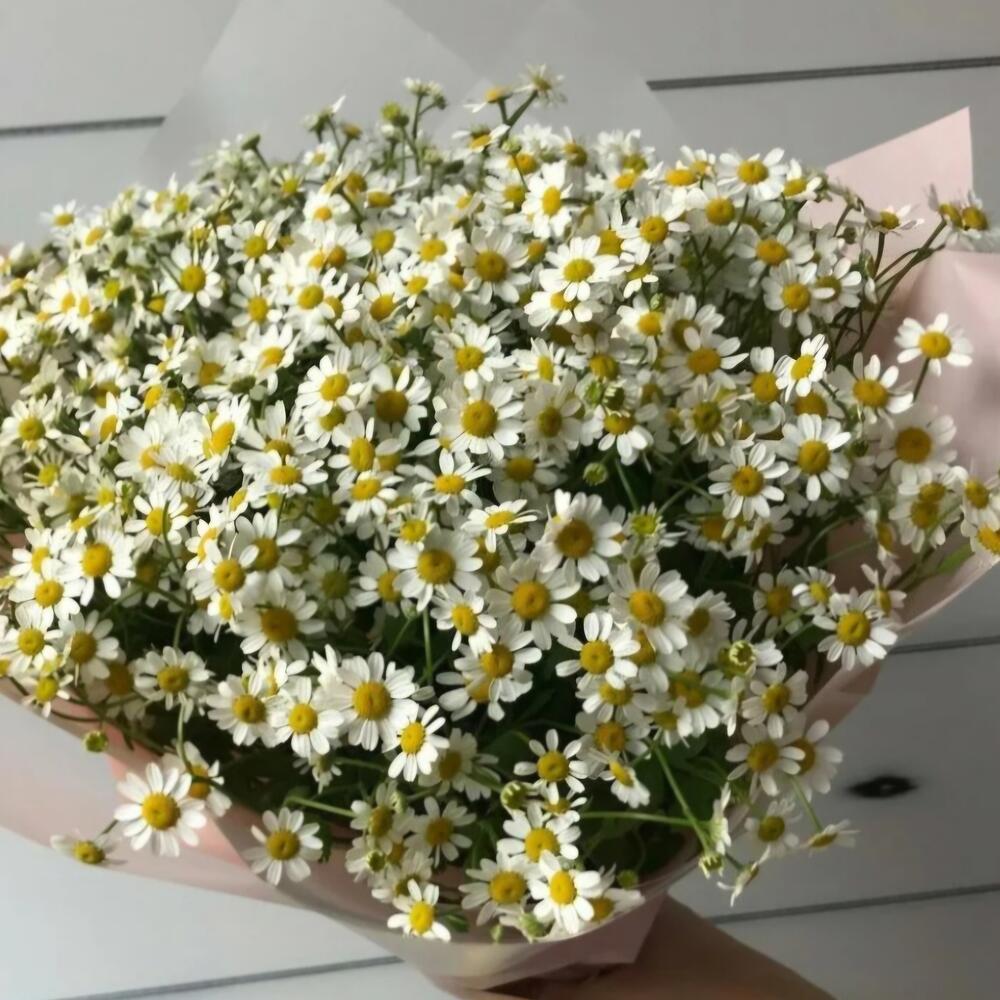 Букет ,,летняя симфония