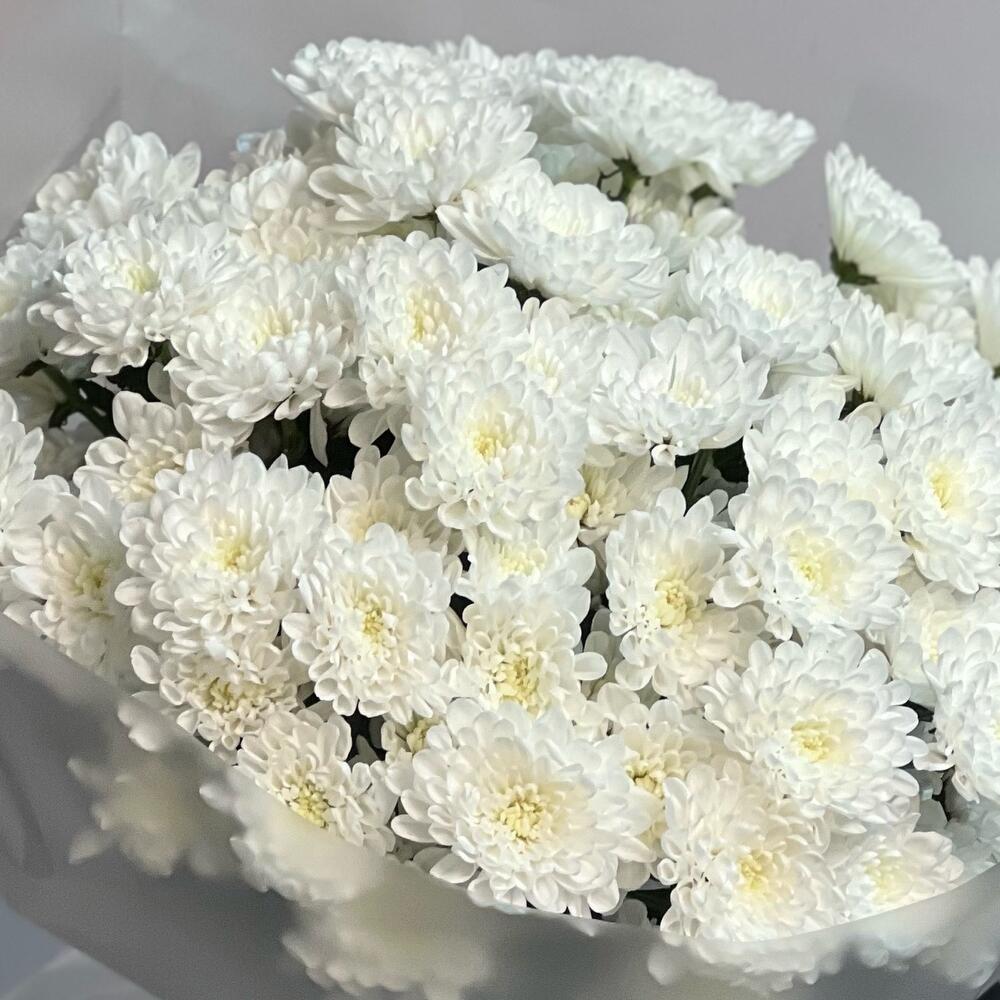 Букет из 13 хризантем