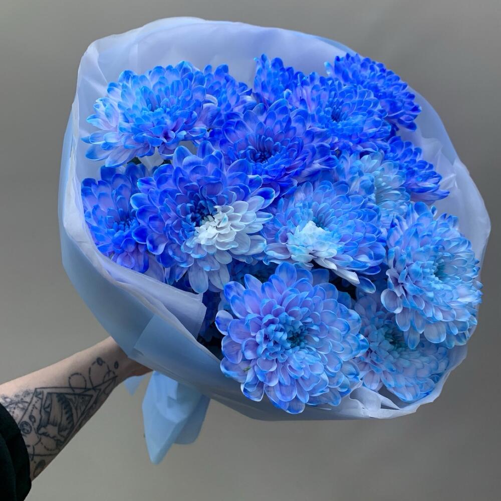 МОНО ИЗ СИНЕЙ ХРИЗАНТЕМЫ