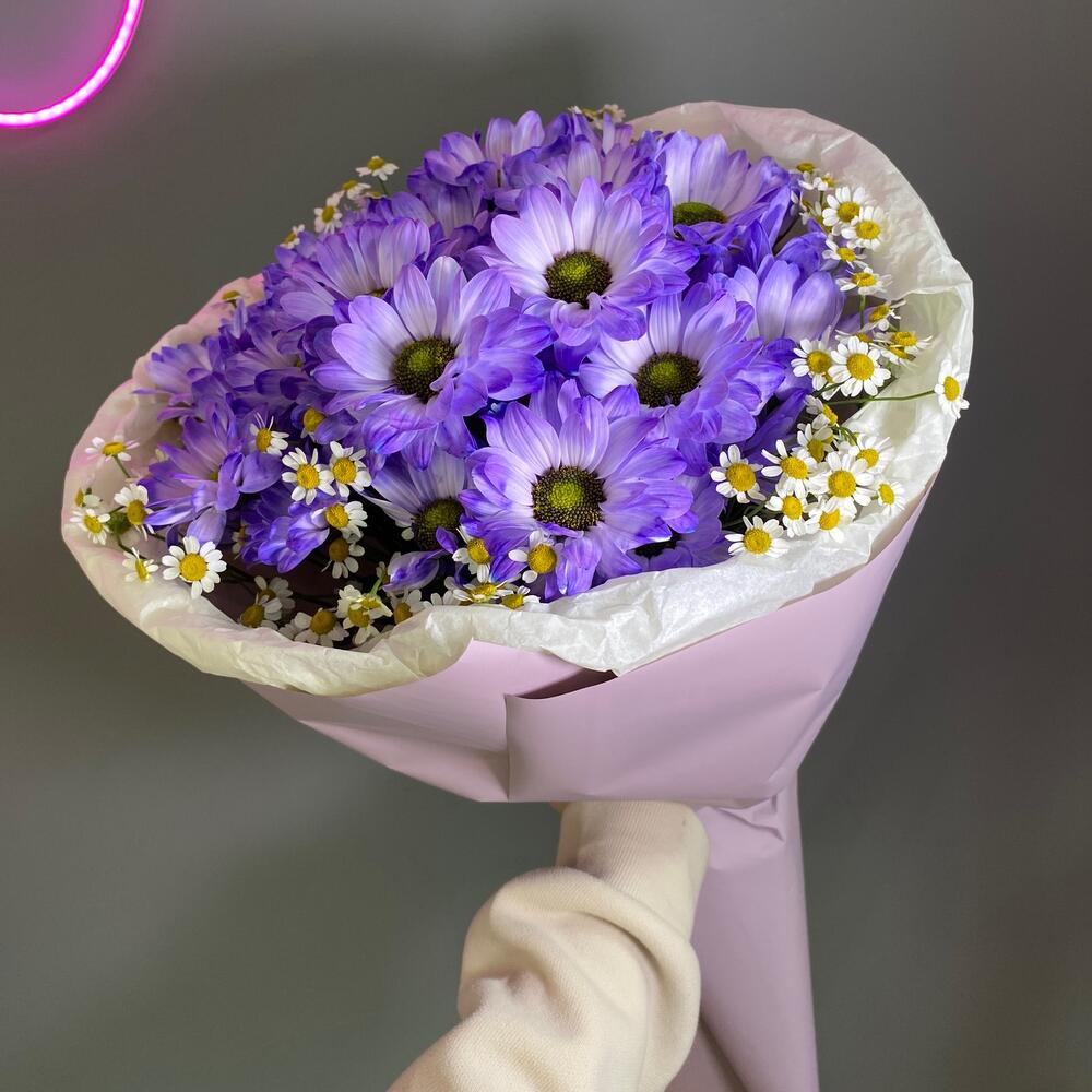 5 фиолетовых ромашек🌸