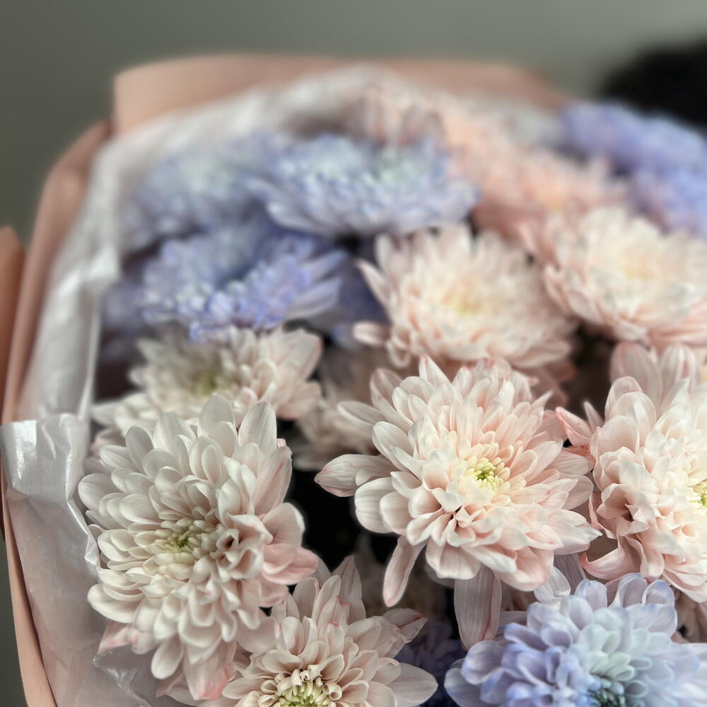 Большой букет из розовых и фиолетовых хризантем💕