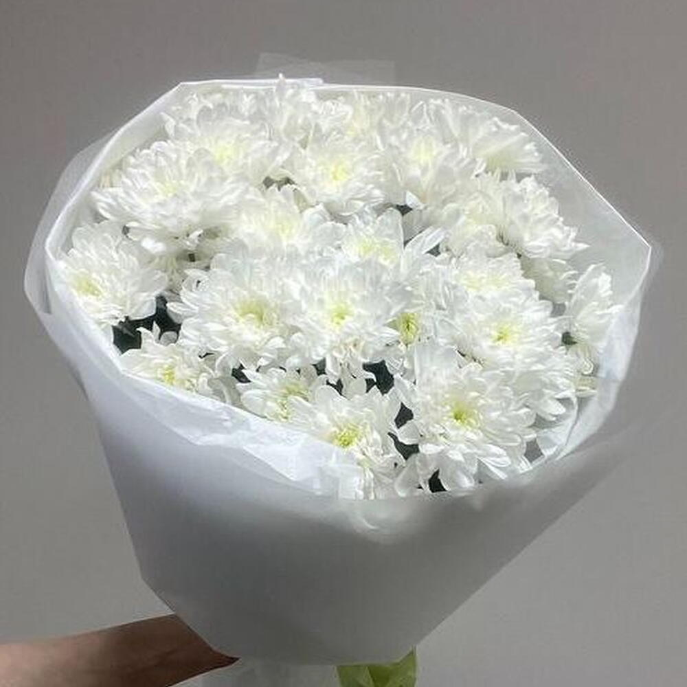 9 кустовых хризантем