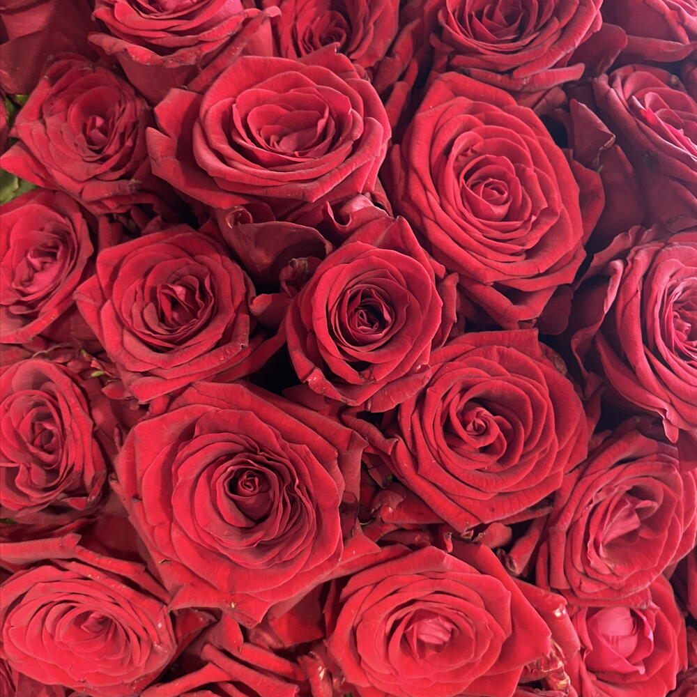 Букет из 101 красной розы 🌹