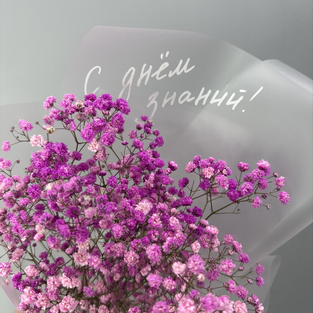 С Днём знаний 12
