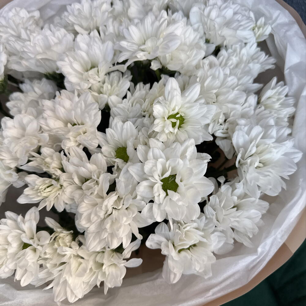 Букет с ромашками