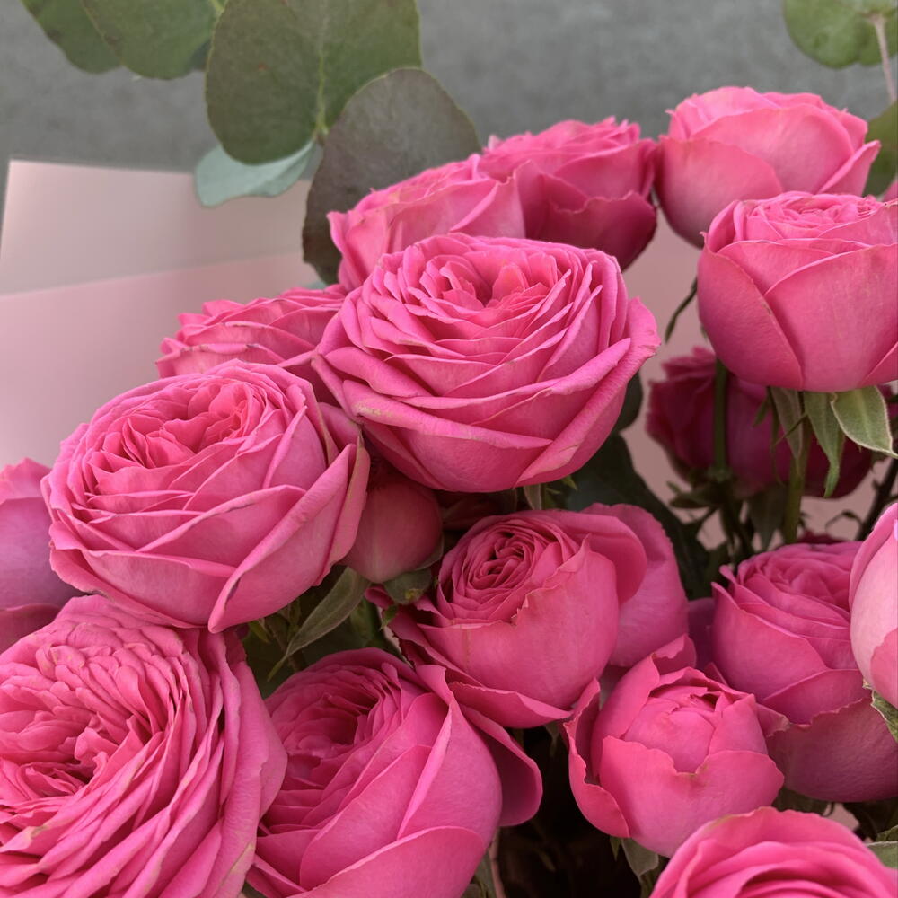Розы для неё💗🌿