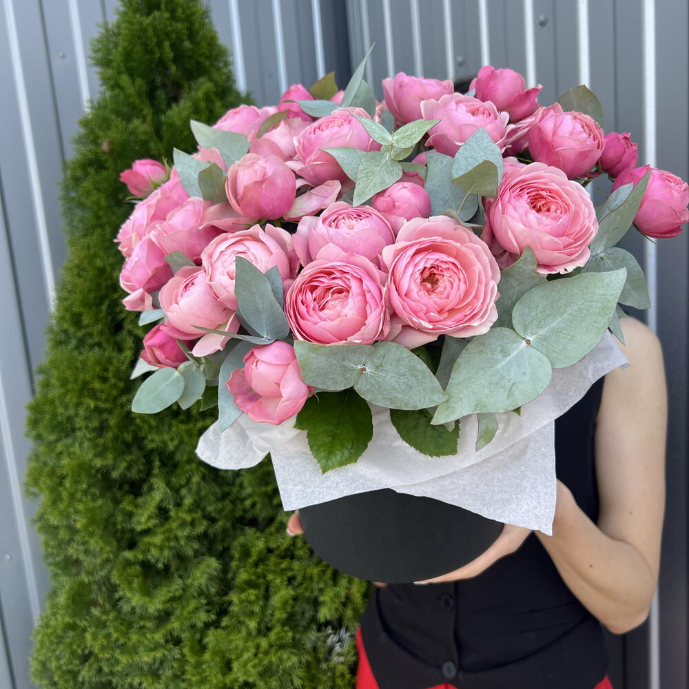 Сильва 🌹