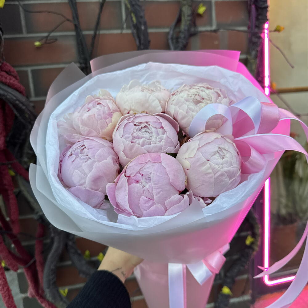 Пионы как пломбир 💕