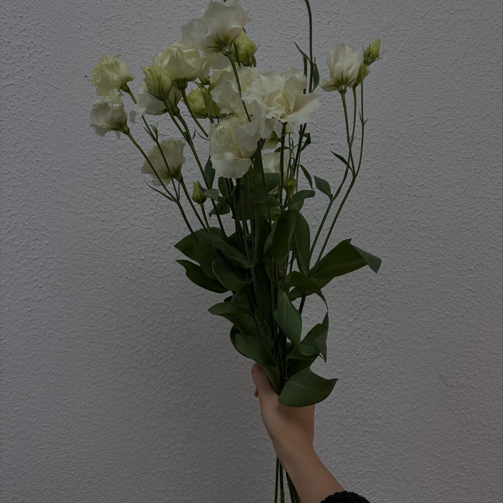 Букет из 9 белых эустом