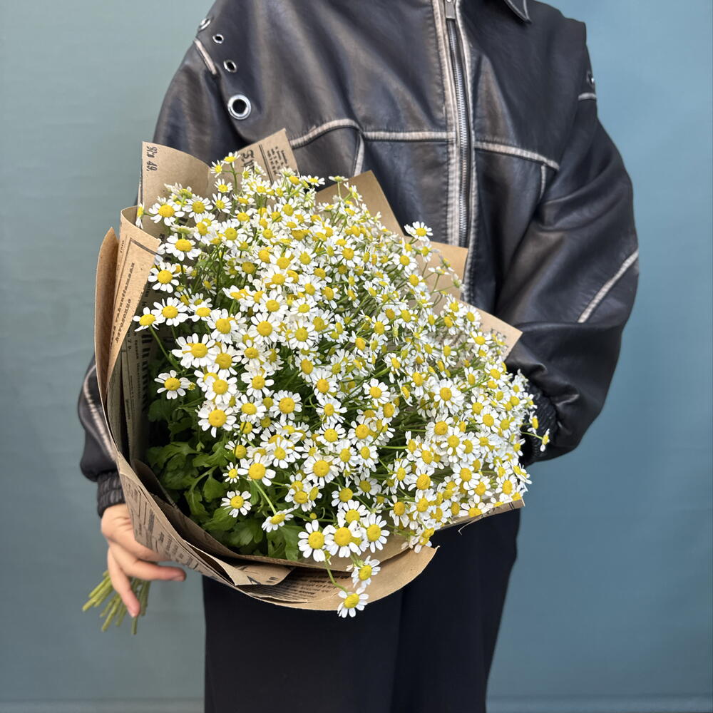 Монобукет из 15 кустовых ромашек 🌼