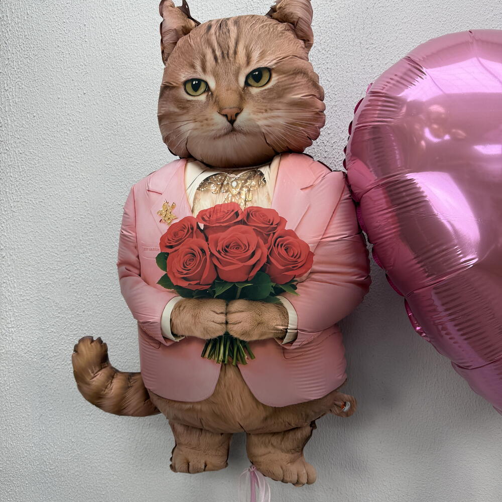 Котик с сердцем💗
