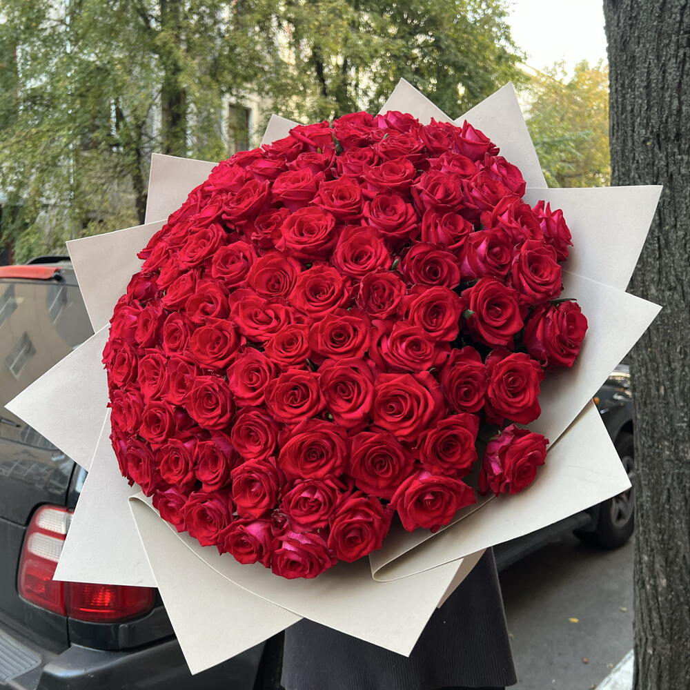 101 шикарная Роза 🌹