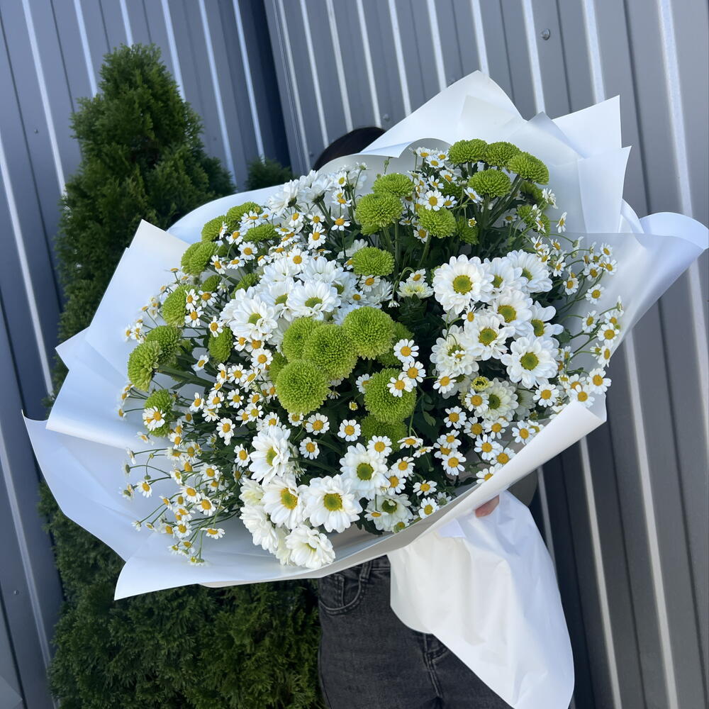 Хризантемы 💐