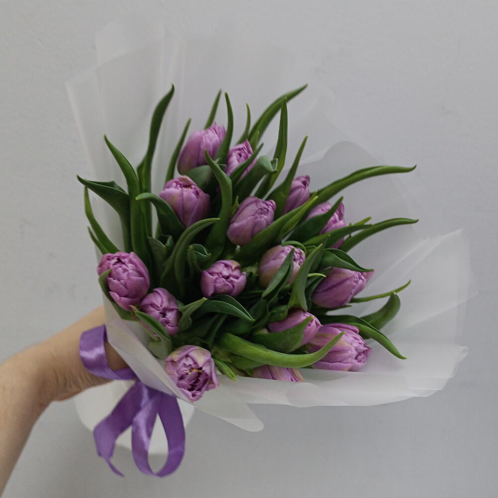 🌷Тюльпаны