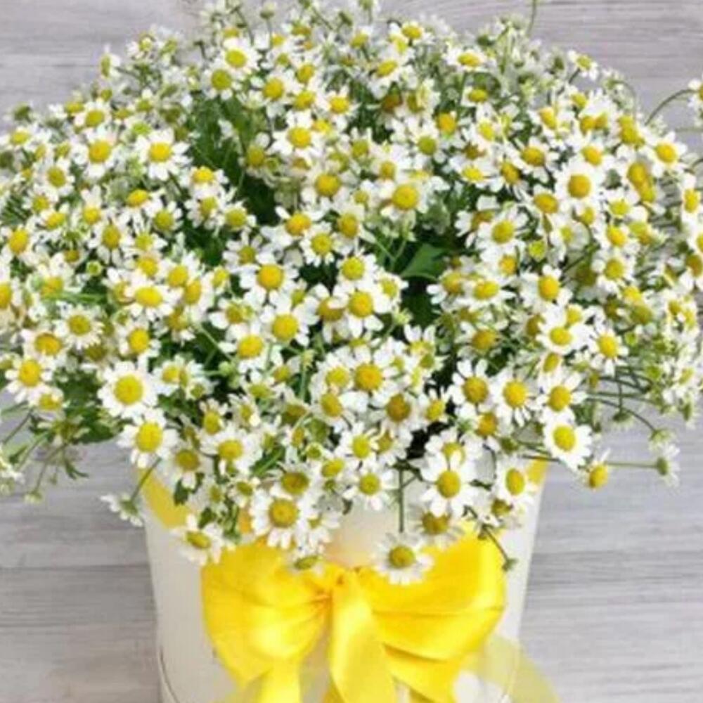 Цветы в коробке