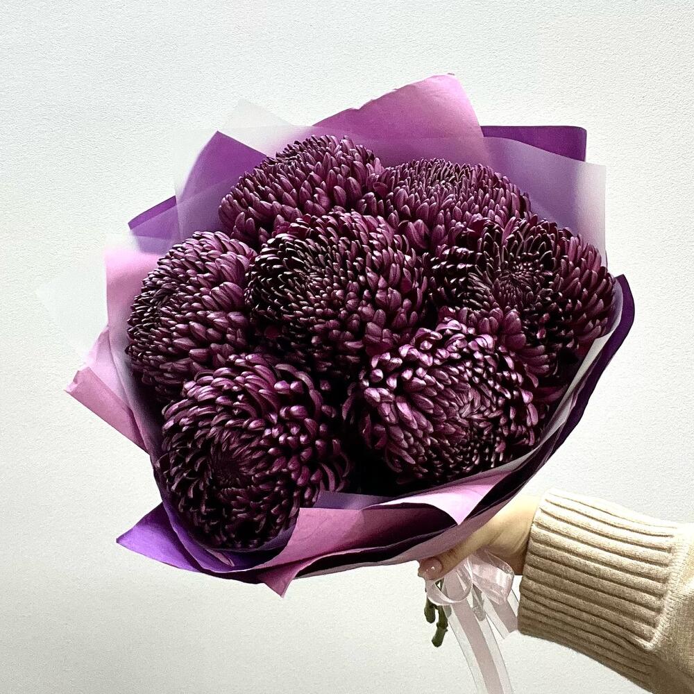 7 одноголовых хризантем винного цвета