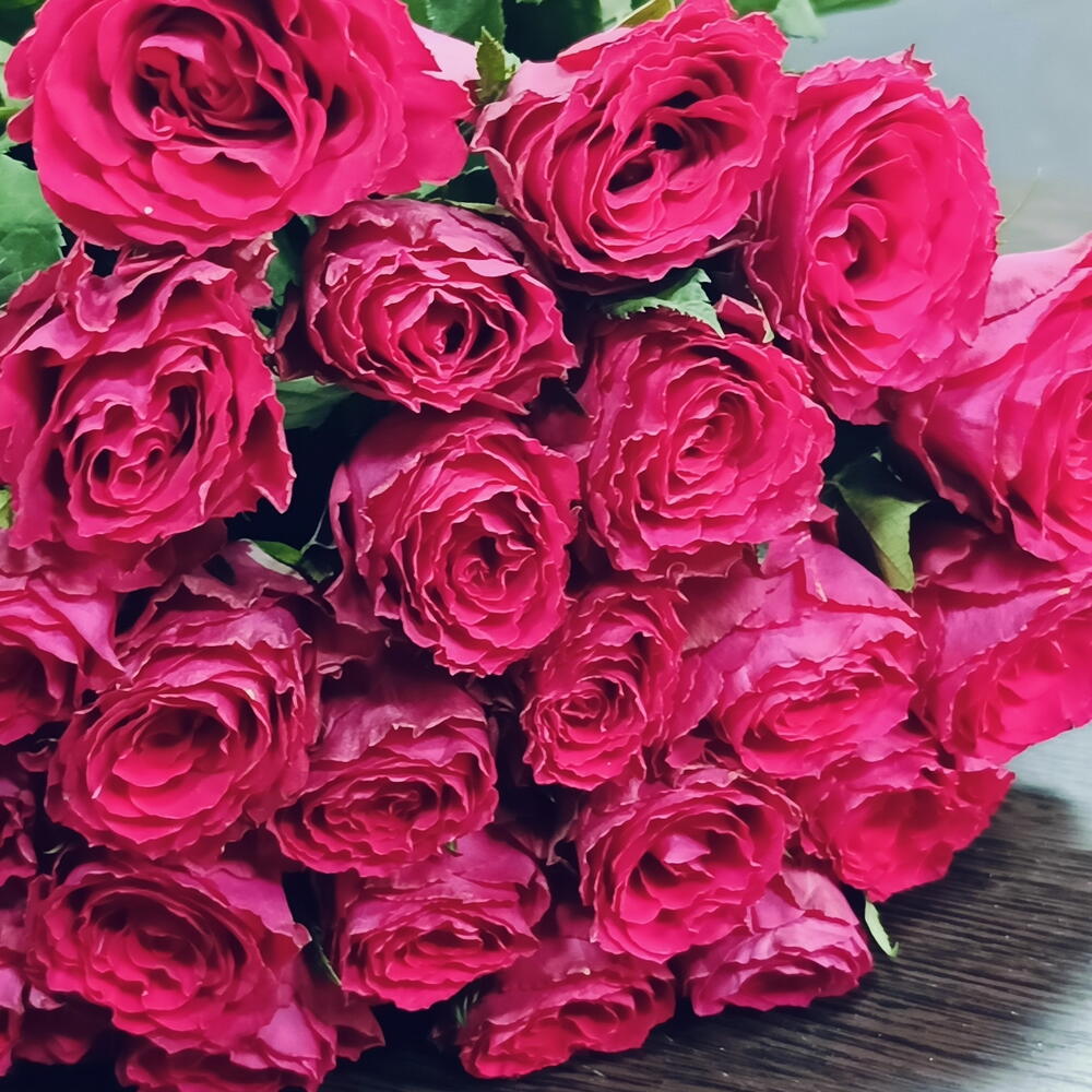 Роза 🌹