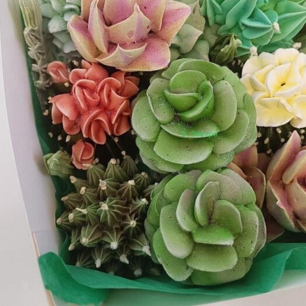 Суккуленты из зефира