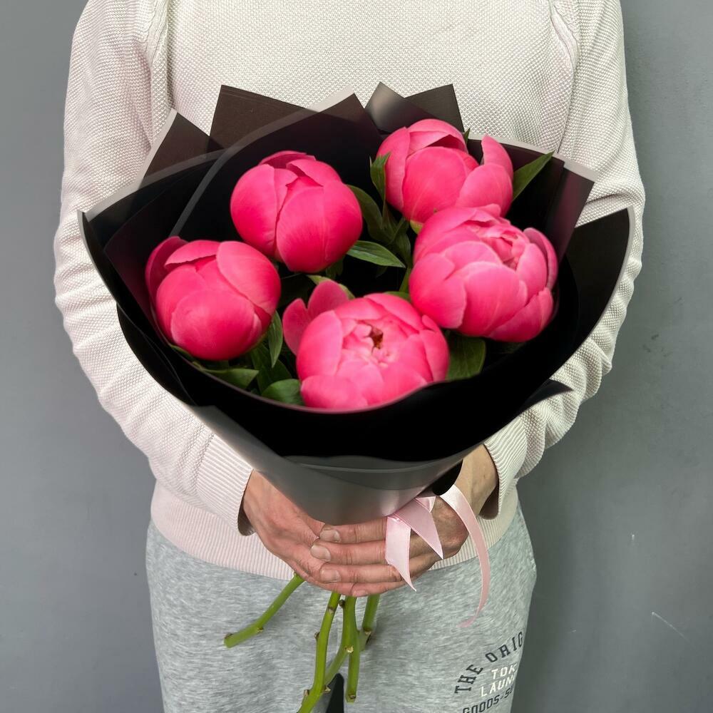 5 коралловых пионов Коралл Шарм (0006) peony