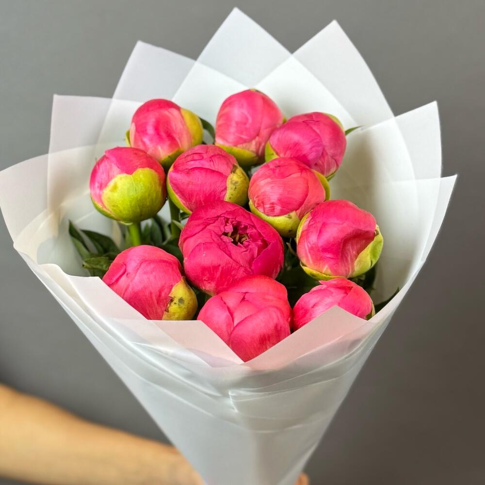 Коралловые пионы