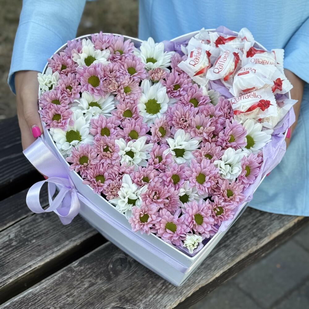 Box of chrysanthemum heart of the beauty
