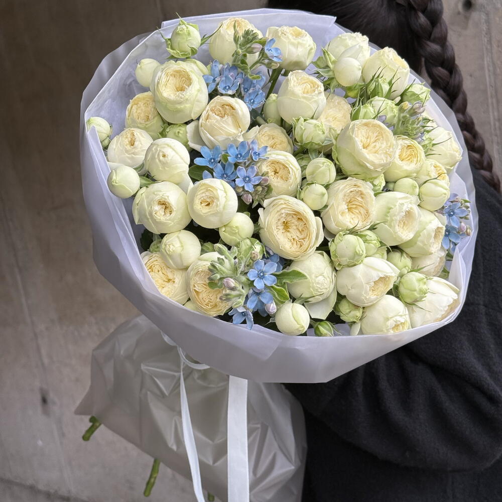 Roses with oxypetalum