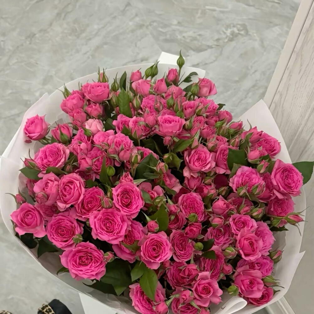 София кустовые розы