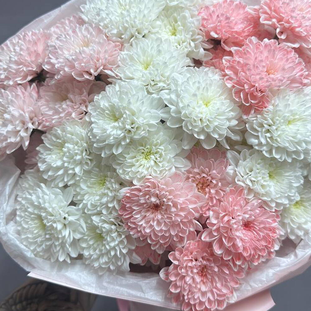 Цветы для настроения - Очарование+ подарок от Vivienne Sabo - румяна MACARON